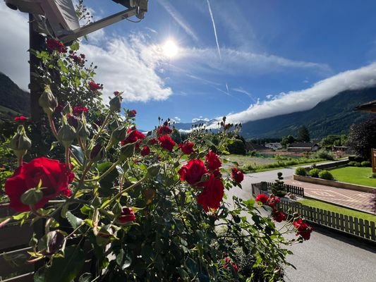 großartiger Ausblick Balkon EG