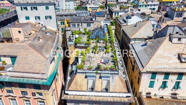 DJI_20250729174436_0013_D (1).jpg