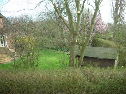 Fotos Vermietung1603.JPG