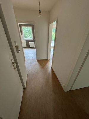 WhatsApp Bild 2025-07-14 um 22.01.10_b98fd078.jpg