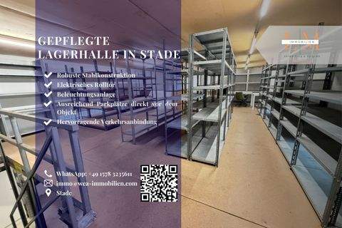 Stade Halle, Stade Hallenfläche