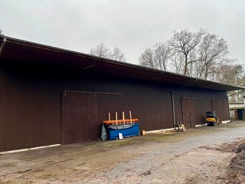 Nienburg (Weser) Halle, Nienburg (Weser) Hallenfläche