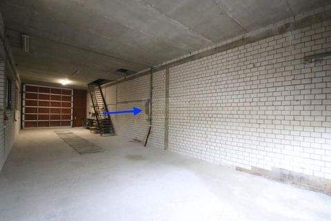 Werl Halle, Werl Hallenfläche