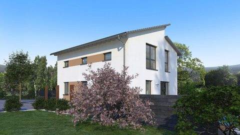 Moringen Häuser, Moringen Haus kaufen