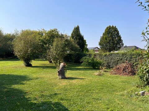 Amt Wachsenburg Grundstücke, Amt Wachsenburg Grundstück kaufen