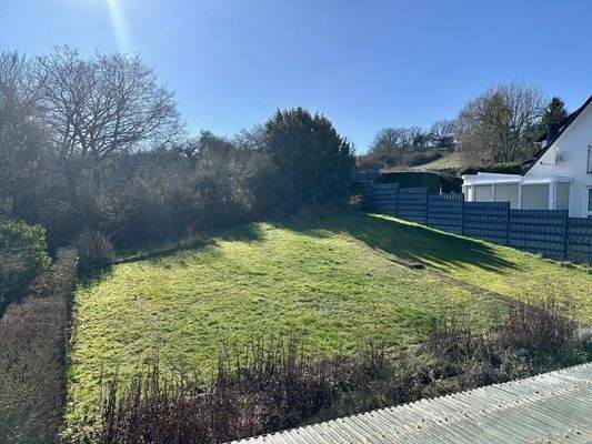 Blick in den Garten