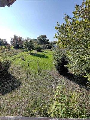 Balkonausblick im DG in den Garten