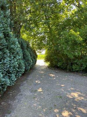 Einfahrt hinter dem Haus