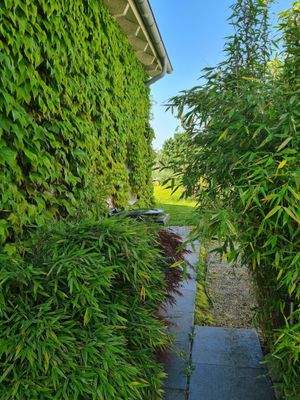 Blick auf der Nordseite zum Garten-Seiteneingang