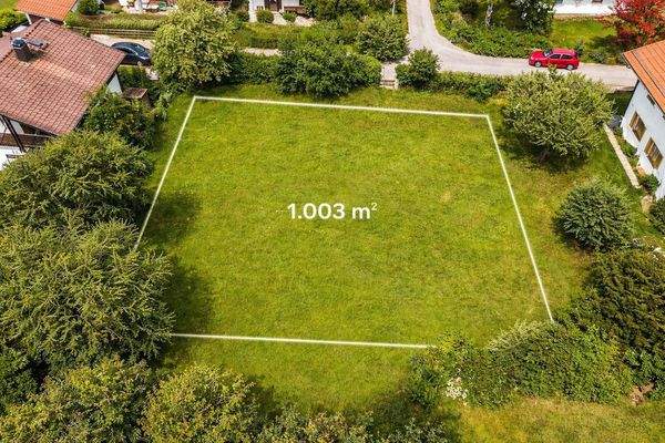 Grundstück ohne Altbestand.jpg