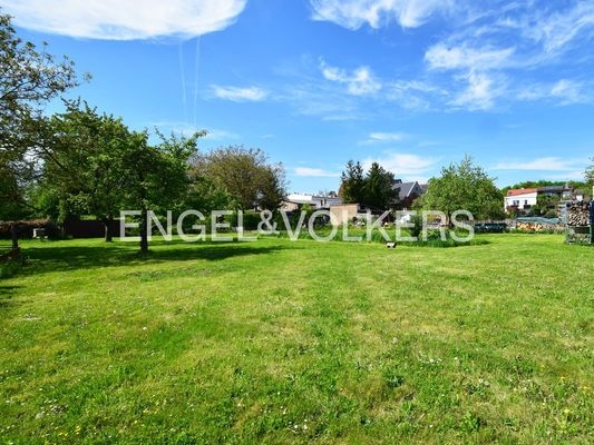 Ein traumhaft großer Garten