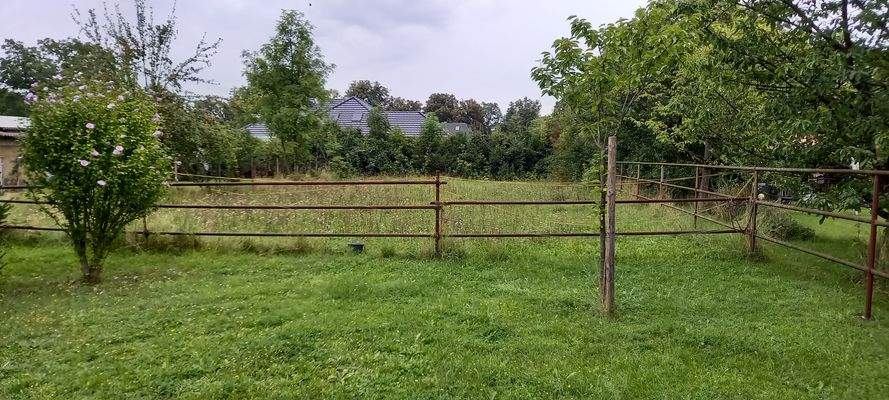 Blick auf das Grundstück.jpg