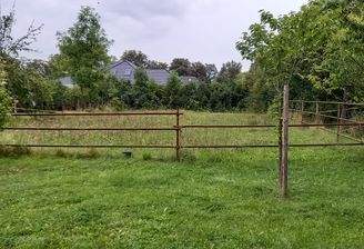 Blick auf das Grundstück.jpg