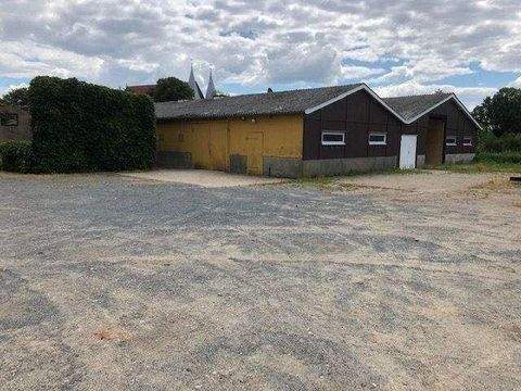 Bardowick Halle, Bardowick Hallenfläche