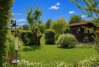 Blick in den Garten
