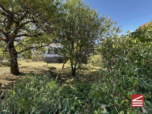 Blick durch den Garten auf das Haus