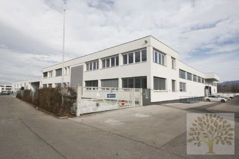 Klagenfurt / Viktring Büros, Büroräume, Büroflächen 