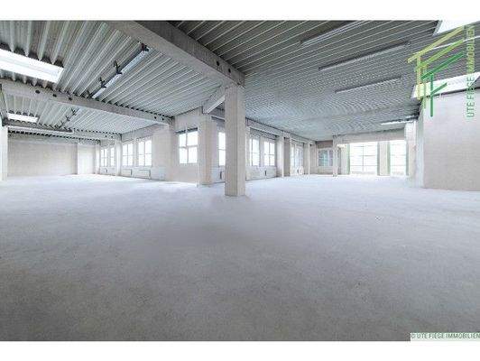 20230427_141241 (Groß)-FWM