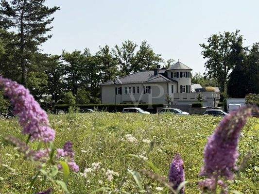 Blick über das Grundstück_2