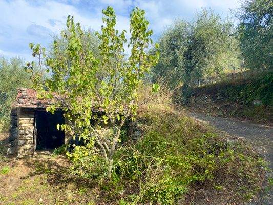 AP976_27 TERRA ITALIA IMMOBILIEN_TERRA ITALIA IMMO