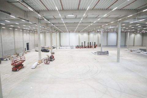 Oberhausen Halle, Oberhausen Hallenfläche