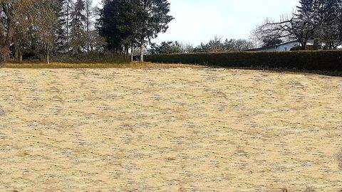 Zickhusen Grundstücke, Zickhusen Grundstück kaufen