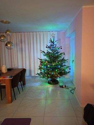 Wohnzimmer mit 2m Tannenbaum