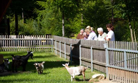 Bildschirmfoto 2023-07-02 um 10.01.39.png