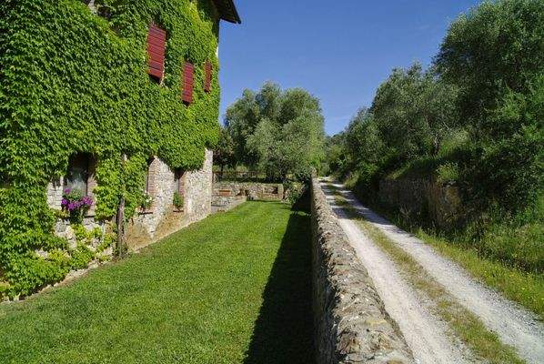 WhatsApp Image 2024-06-01 at 11.17.11 (1).jpeg