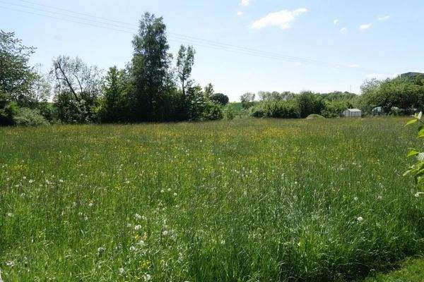 angrenzende Wiesen2.JPG