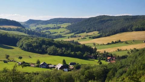 Weidenberg bei Bayreuth Grundstücke, Weidenberg bei Bayreuth Grundstück kaufen