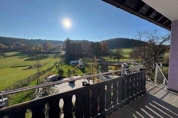 Ausblick vom Balkon in den Garten
