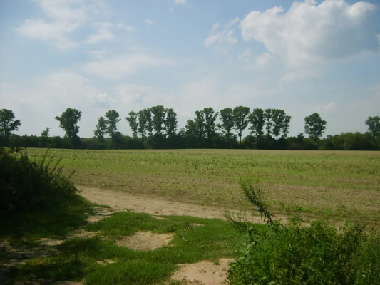 a24af9cc-6fc0-49d6-b654-ceae237ddc8a-1904514674