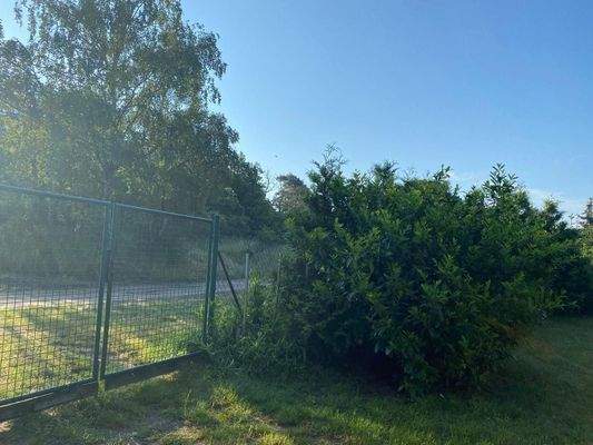 Hinteres Gartentor / Einfahrt