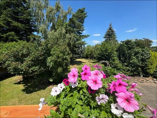 Blick von der Terrasse in den Garten