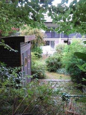 Blick in den Garten.jpg