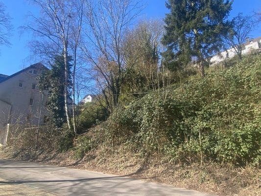 Ansicht des Grundstücks