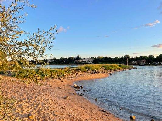 Am Rhein in Niederdollendorf