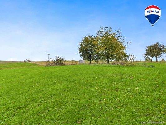 RE/MAX Immobilien DeLux Einfamilienhaus Mettlach-Weiten Garten