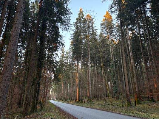 2025-12-10 16.01.17.jpg