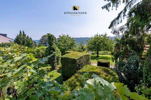 Aussicht_Balkon_DSC3929