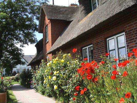 ferienhaus-nordsee-fewo