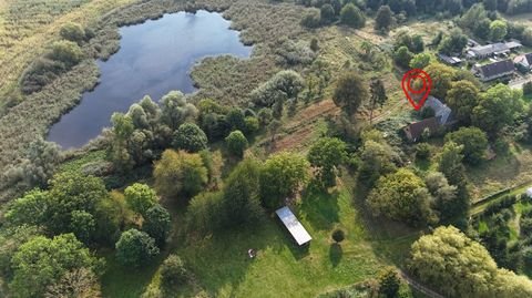 Spiekersdorf Bauernhöfe, Landwirtschaft, Spiekersdorf Forstwirtschaft