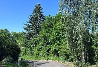 Baugrundstück Straßenansicht