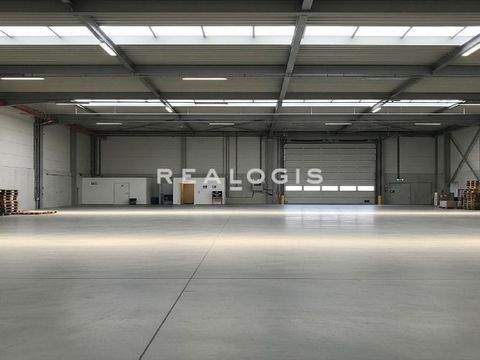 Reutlingen Halle, Reutlingen Hallenfläche