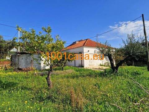 Salir Häuser, Salir Haus kaufen