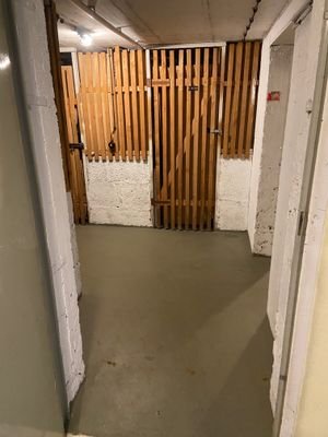 IMG_9596.jpeg