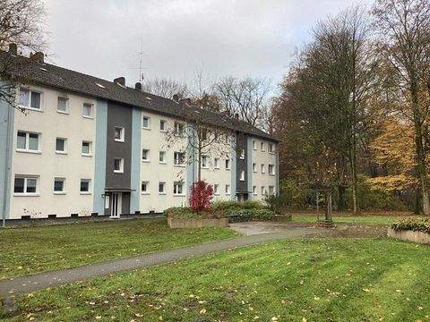 Gladbeck Wohnungen, Gladbeck Wohnung mieten