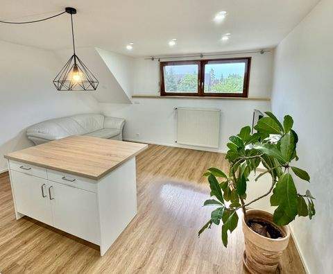 Ühlingen-Birkendorf Wohnungen, Ühlingen-Birkendorf Wohnung mieten