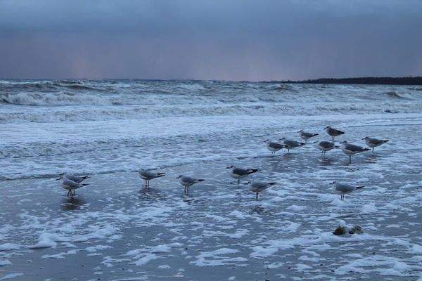 gr. Fahrstuhl-Treppe
